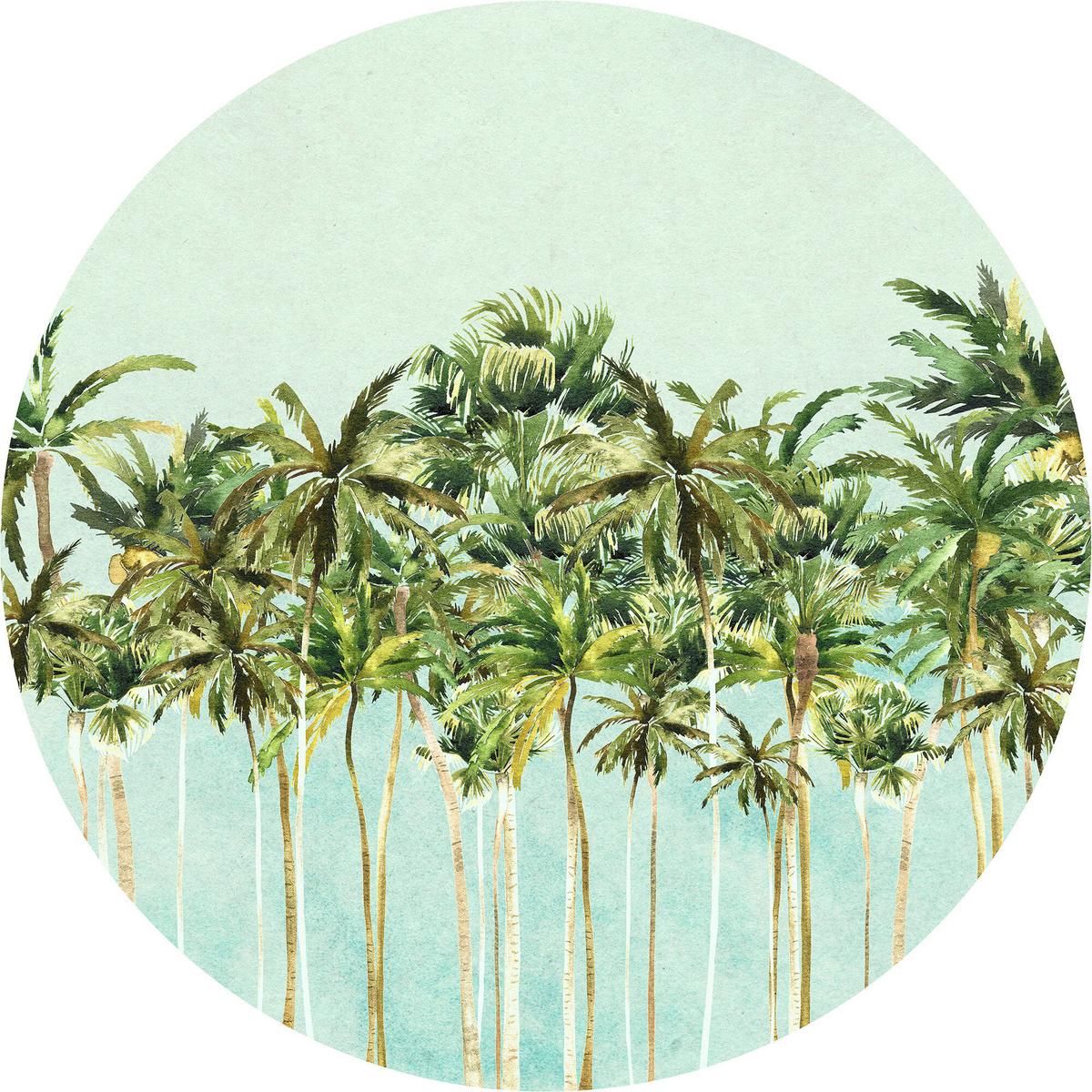 Fototapete Coconut Trees - Blau/Grün, Trend (125cm)