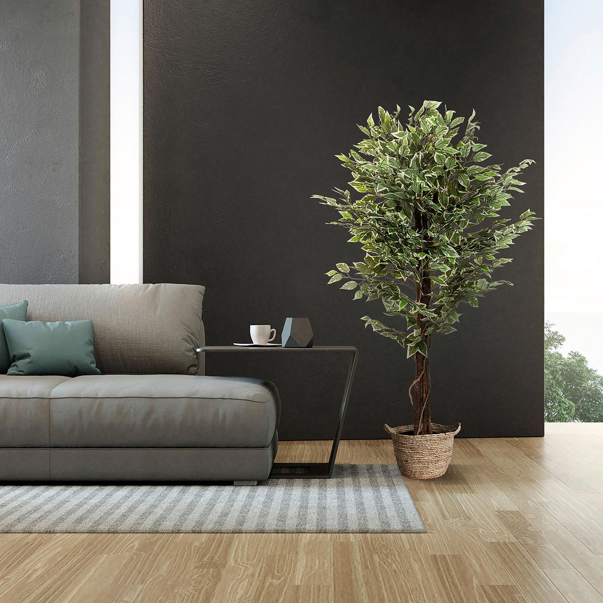 Kunstpflanze Ficus - Schwarz/Braun, Basics, Kunststoff (80/165/80cm) - MID.YOU