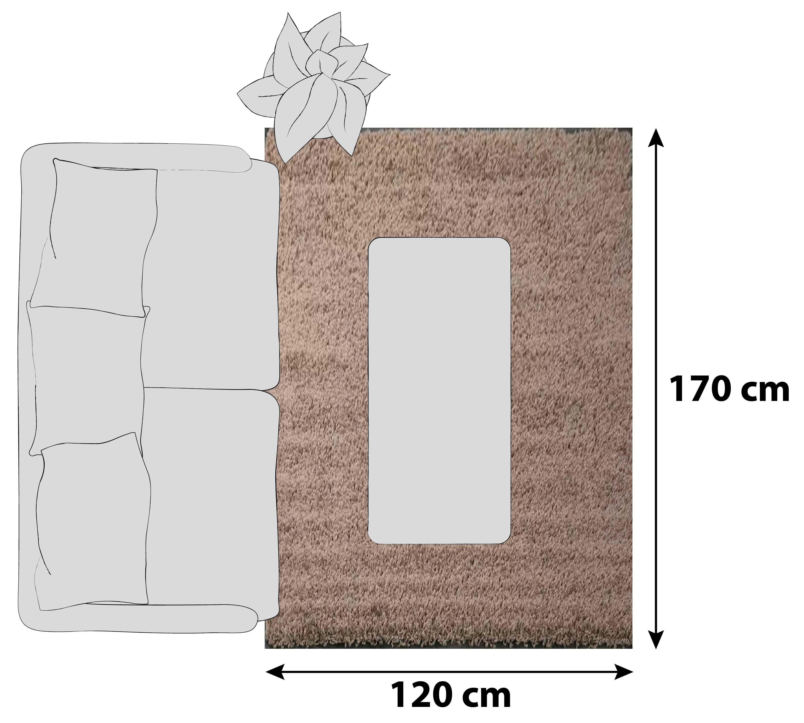 Hochflor Teppich Nussbaumfarben Prime 120x170cm - Nussbaumfarben, MODERN, Textil (120/170cm)