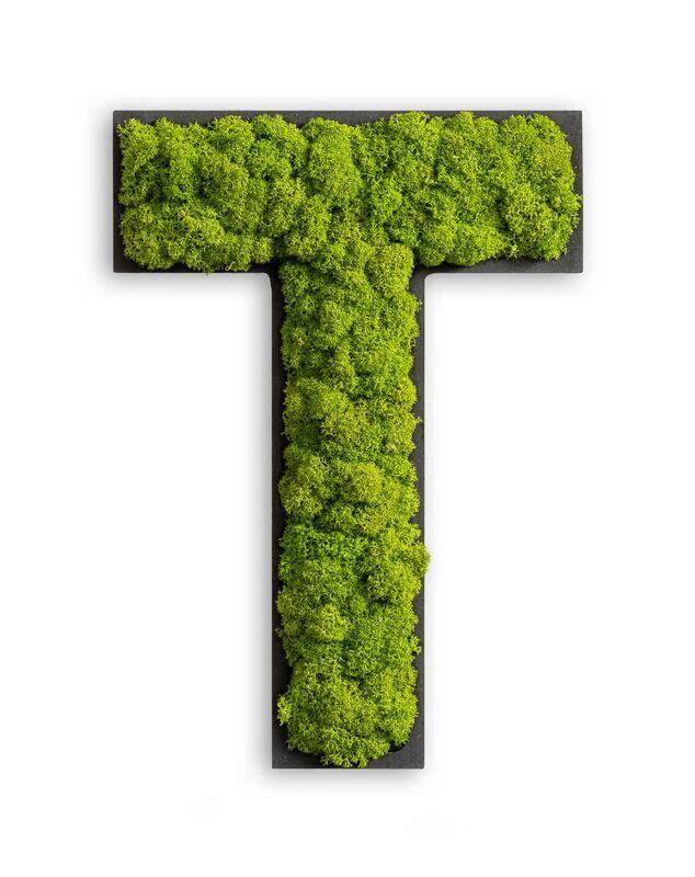 Moosbild Grün B: 25 Cm - Schwarz/Grün, Basics, Naturmaterialien/Holz (25/19/4cm)