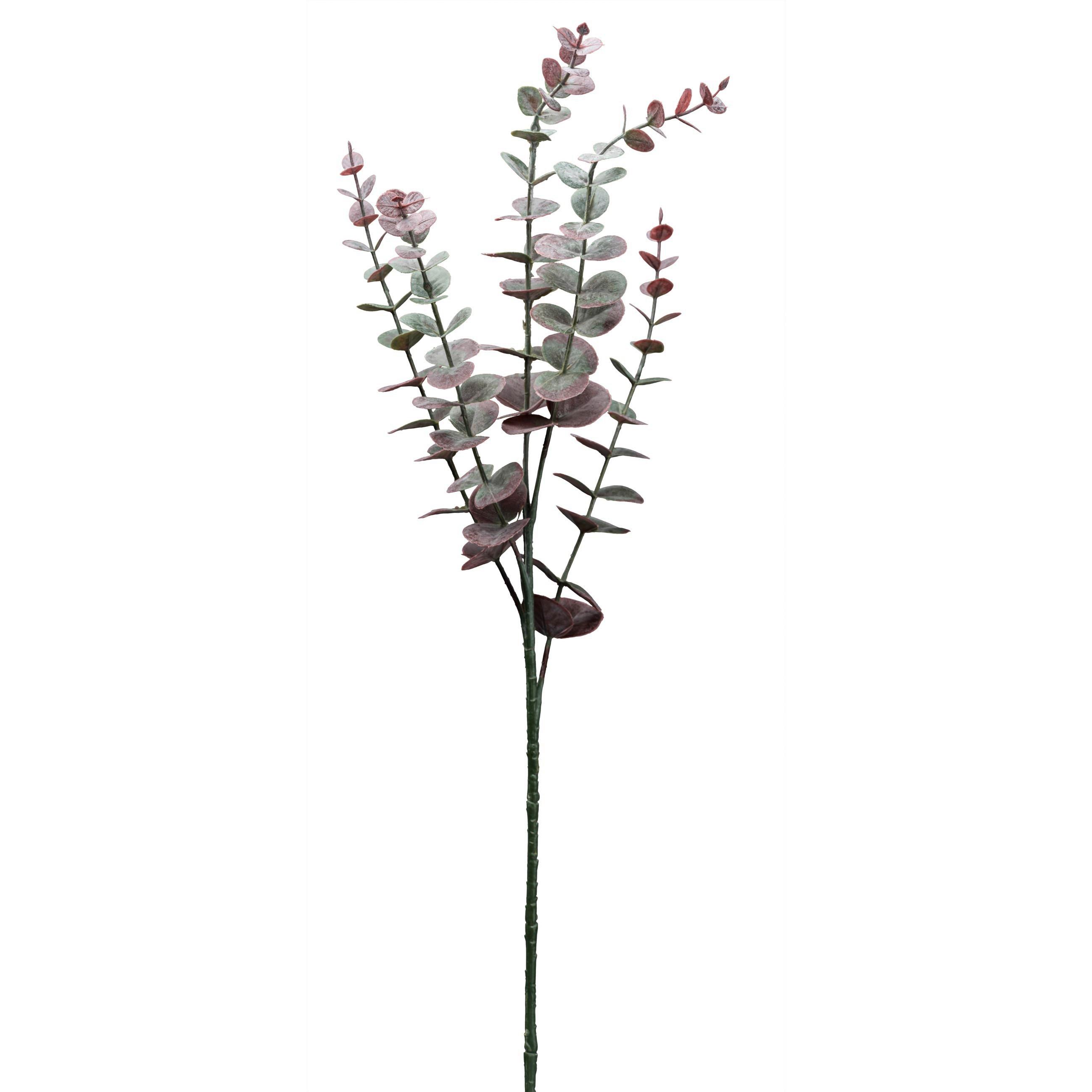 Kunstpflanze Eukalyptuszweig Lila L: 73 cm, Mira - Lila/Grau, Natur, Kunststoff (73cm)