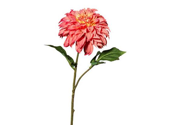 Dahlie Susi - Hellrosa/Rosa, MODERN, Kunststoff (54cm) Dahlie Susi - Hellrosa/Rosa, MODERN, Kunststoff (54cm)