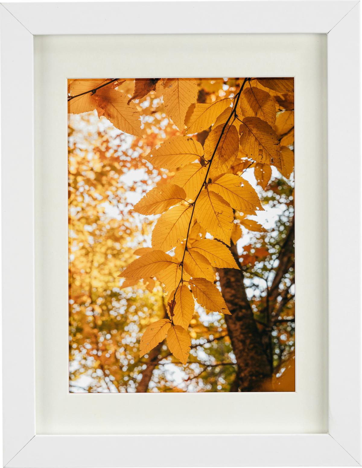 RÁM NA OBRAZY GITTA 18x24 cm - biela, Modern, kompozitné drevo/sklo (18/24cm) - Modern Living