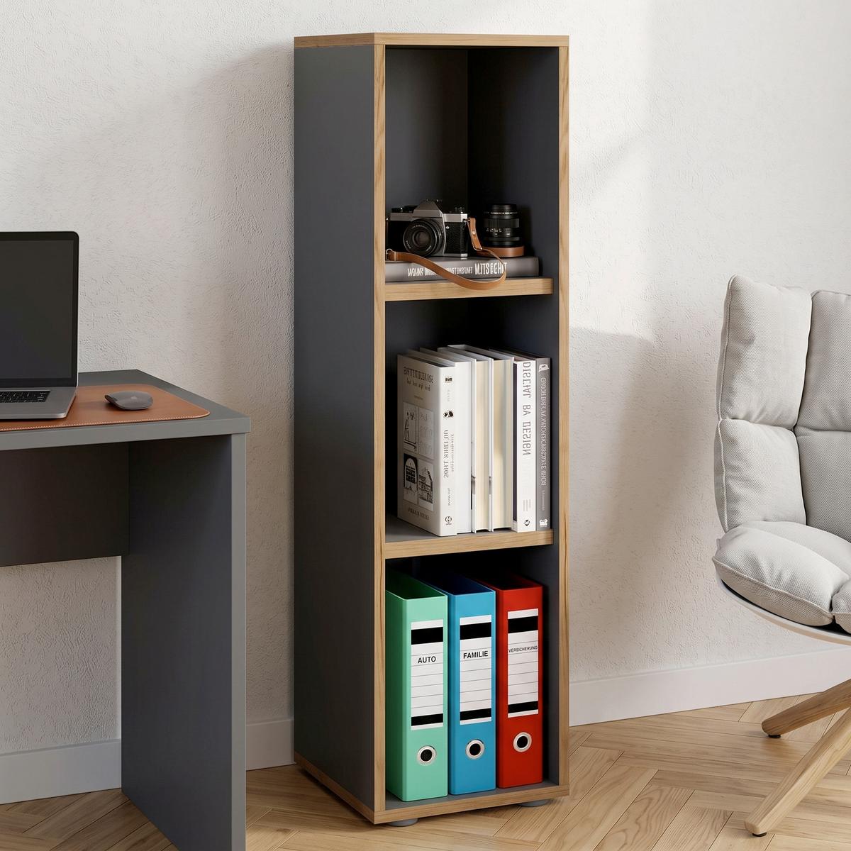 REGÁL NA ŠANÓNY SALIA B30 - čierna/dub medový, Design, kompozitné drevo/plast (30/110/33cm) - P & B