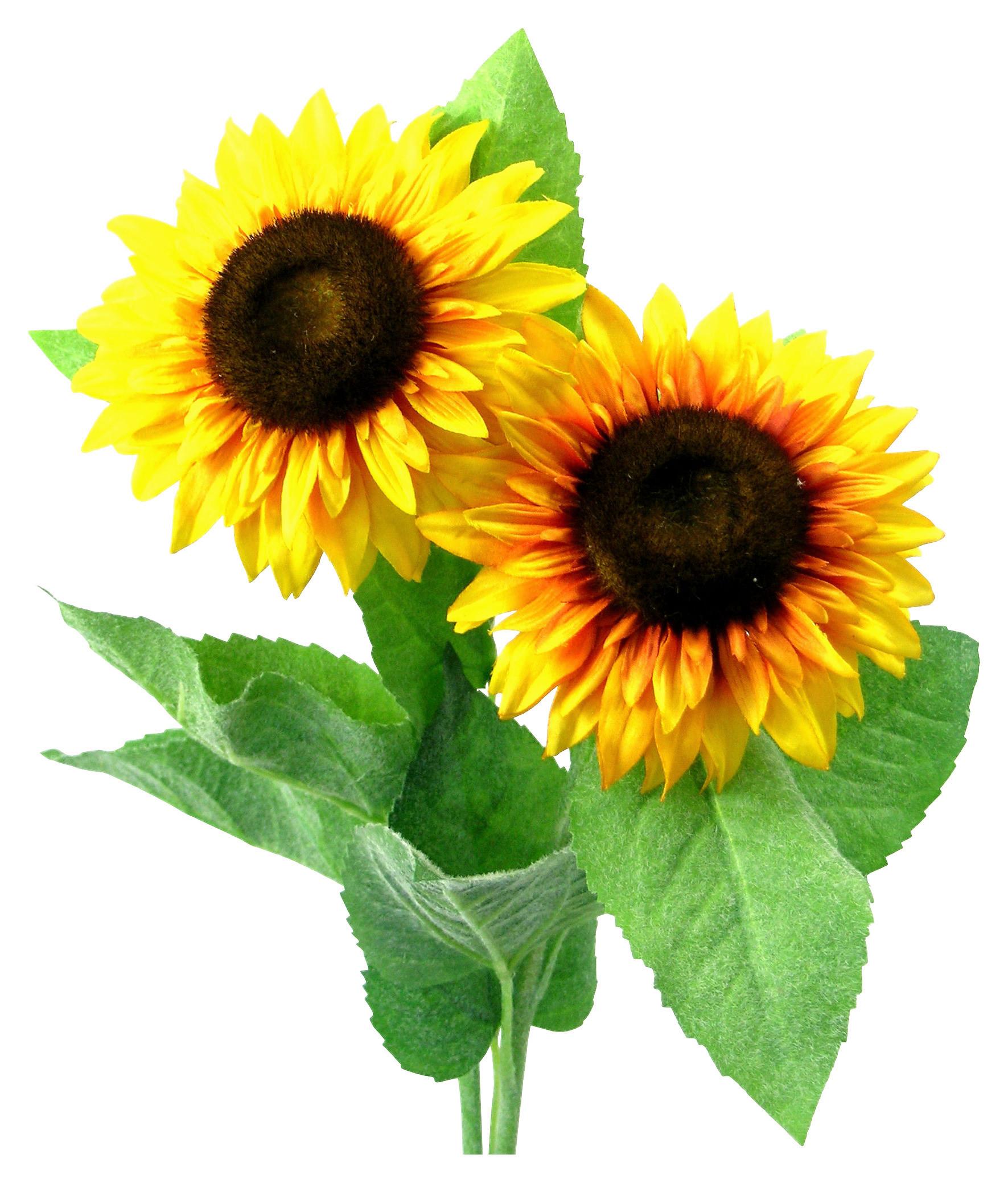 Kunstpflanze Sonnenblume Gelb L: 58 cm, Sunny - Gelb/Grün, Basics, Kunststoff (58cm)