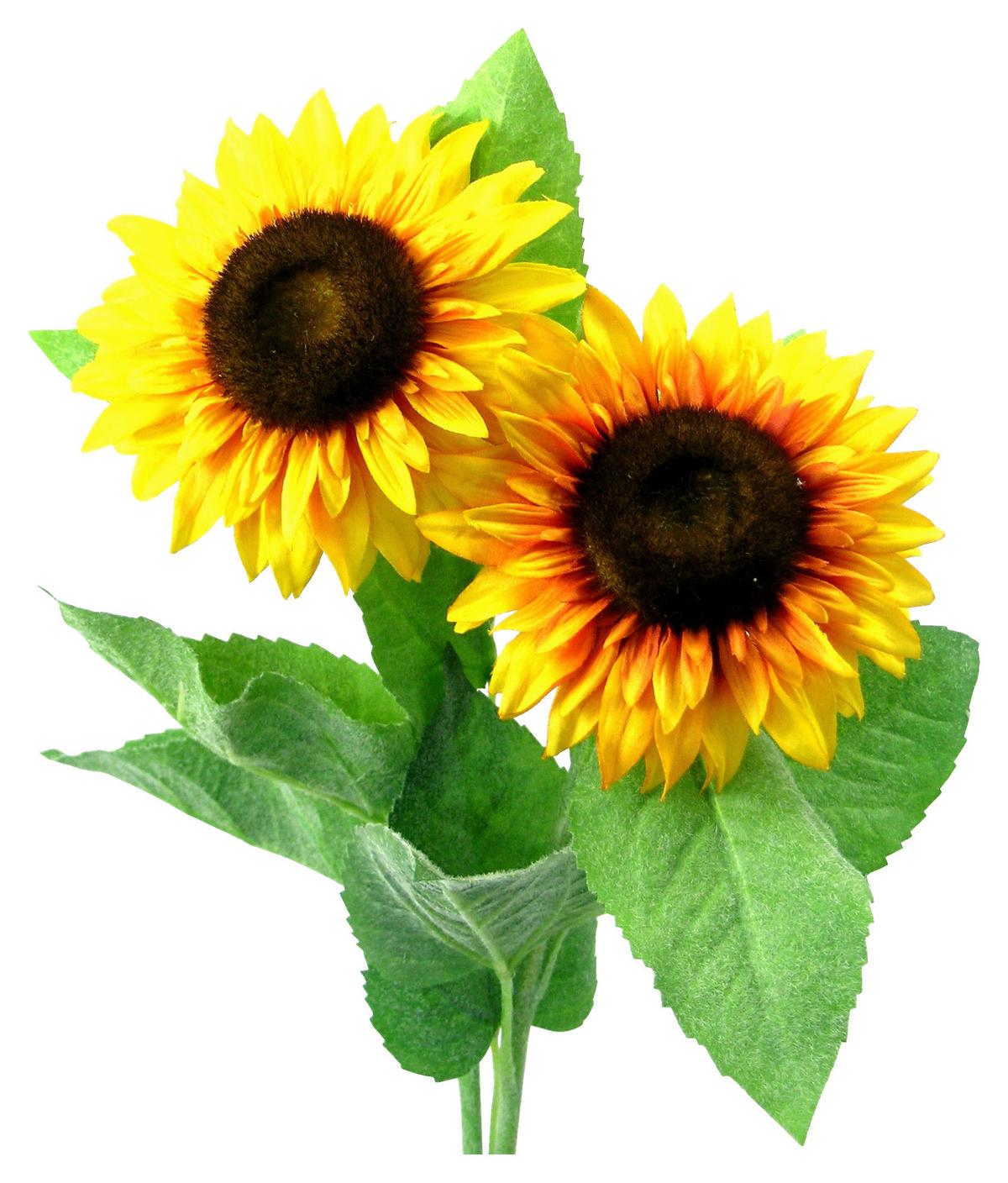 Kunstpflanze Sonnenblume Gelb L: 58 cm, Sunny - Gelb/Grün, Basics, Kunststoff (58cm)