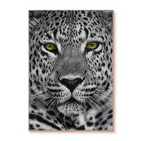 Kinderteppich Giza - Grau, Basics, Textil (120/170cm) - Ondega