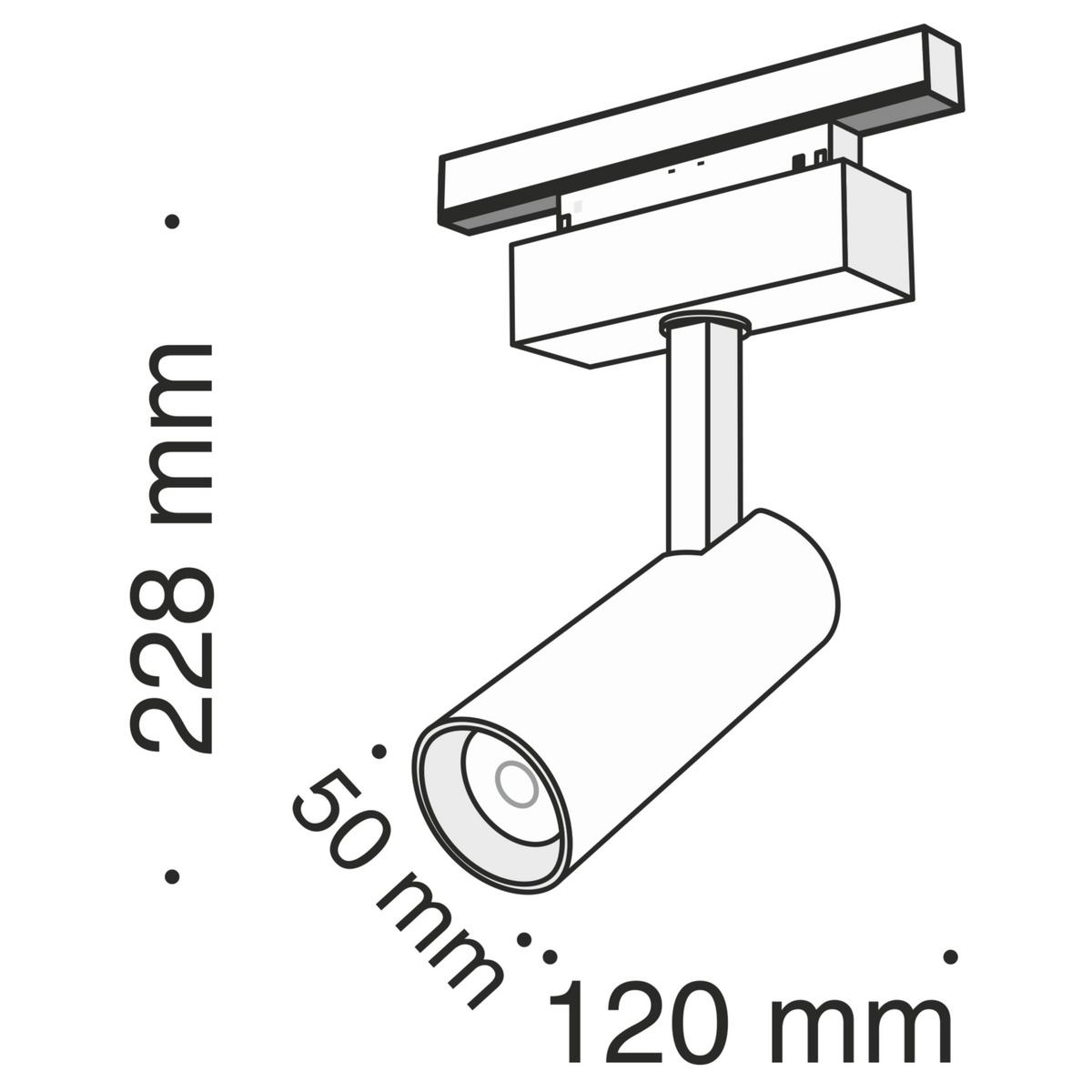 Schienensystem-Strahler Focus Led - Schwarz, Basics, Metall (12/22,8/13,6cm) - MAYTONI