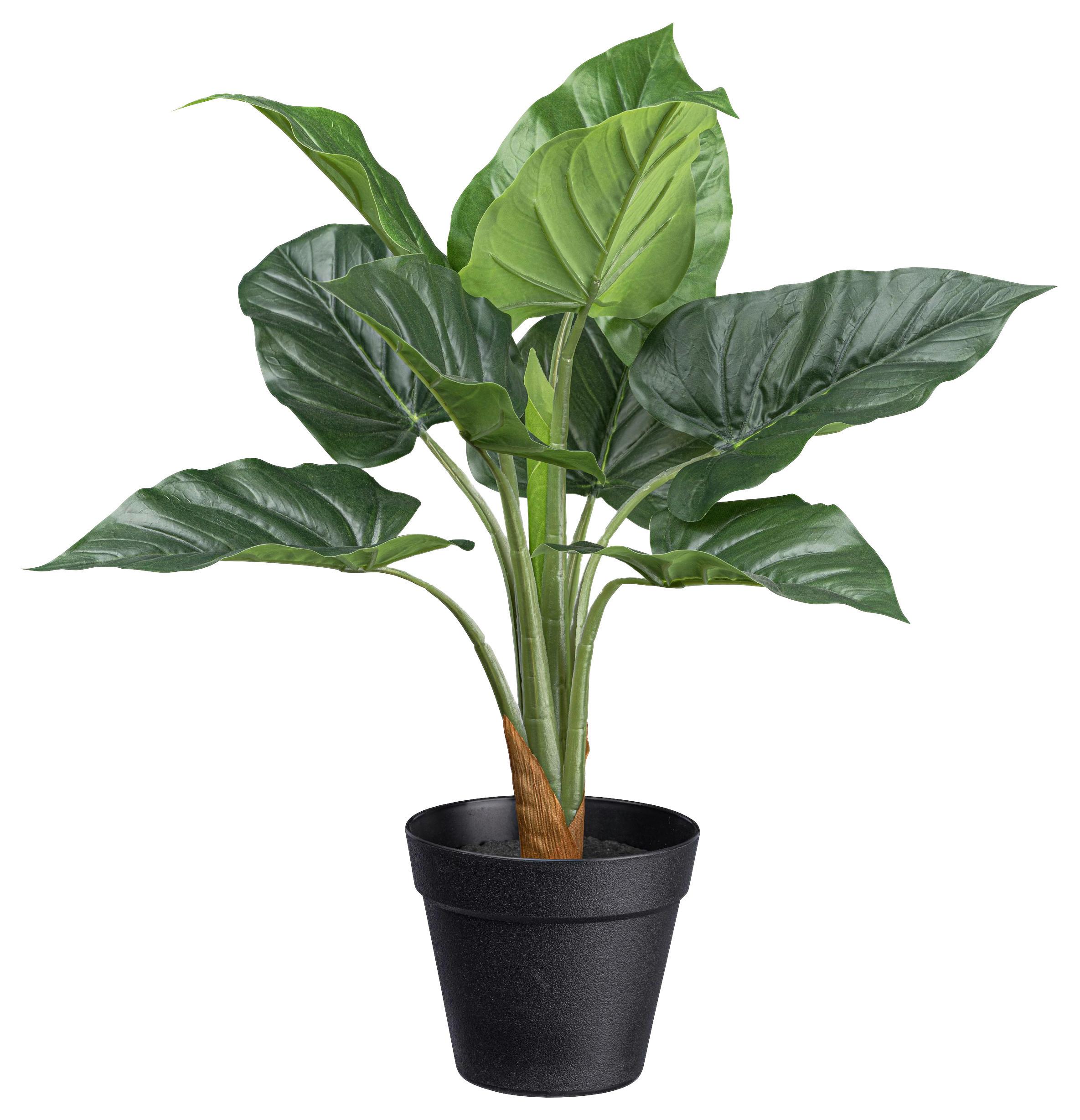 Umelá rastlina V: 45cm - čierna/zelená, Basics, plast (45cm) - Modern Living