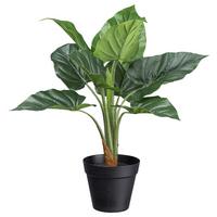 Umelá rastlina V: 45cm - čierna/zelená, Basics, plast (45cm) - Modern Living