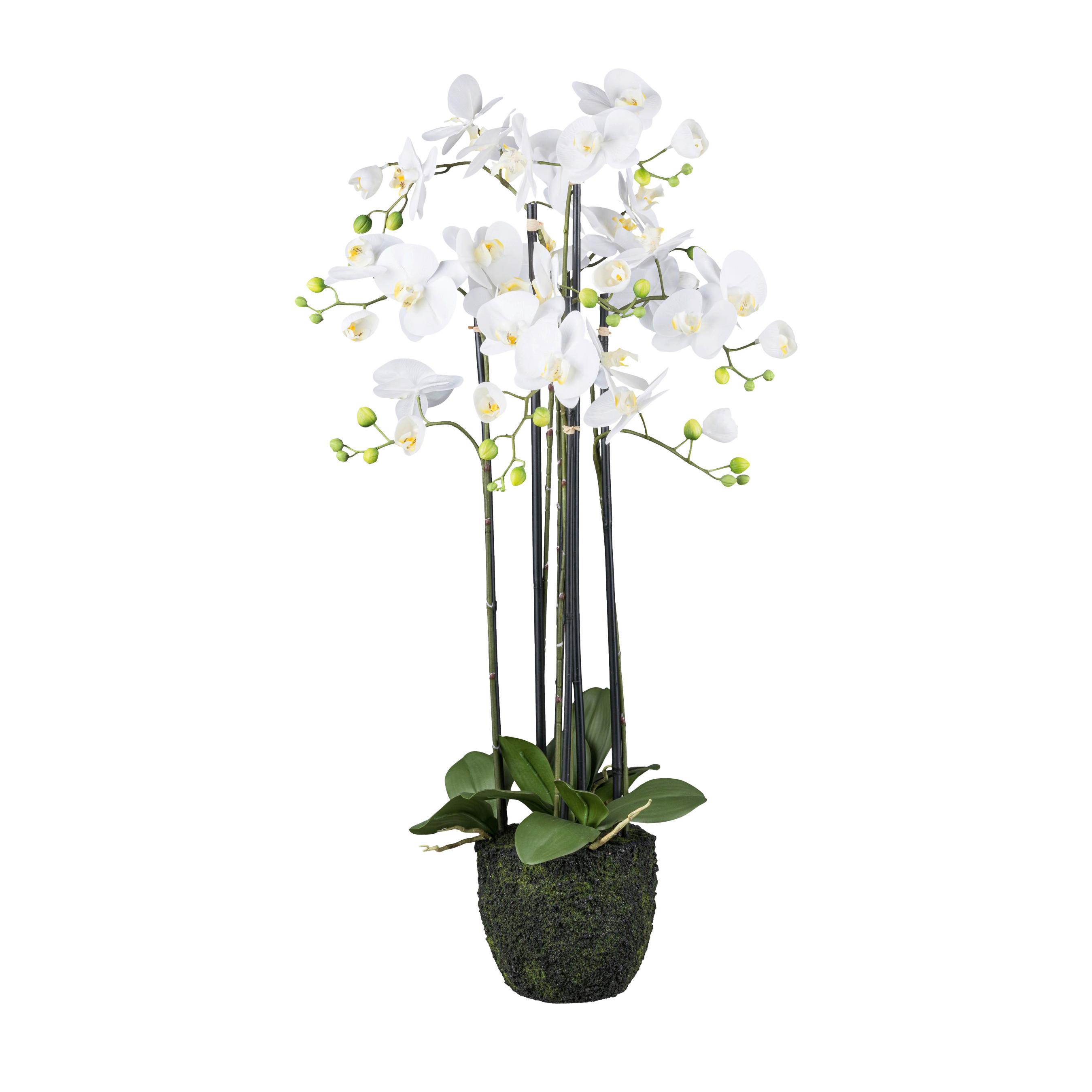 Kunstpflanze Orchidee H: 93 Cm - Weiß/Grün, Design, Kunststoff (93cm) - P & B