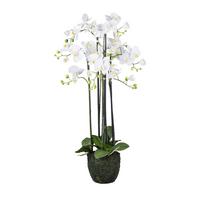 Kunstpflanze Orchidee H: 93 cm - Weiß/Grün, Design, Kunststoff (93cm)