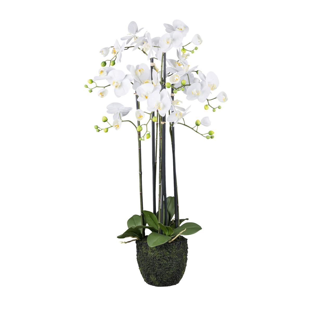 Kunstpflanze Orchidee H: 93 cm - Weiß/Grün, Design, Kunststoff (93cm)