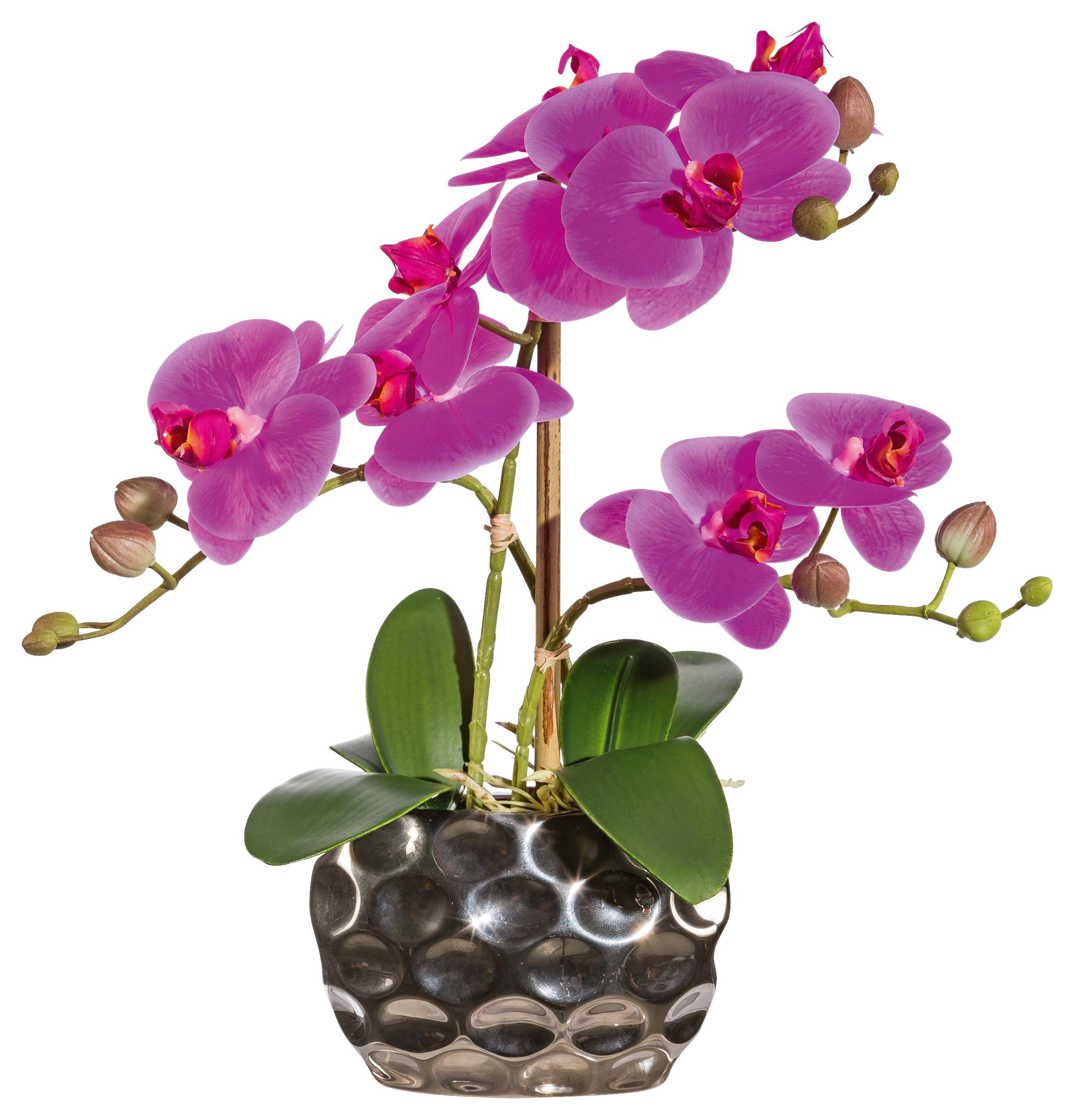 Kunstpflanze Orchideen, Pink Topf: Silberfarben, H: 30 cm - Pink/Silberfarben, Design, Kunststoff (30cm) - P & B