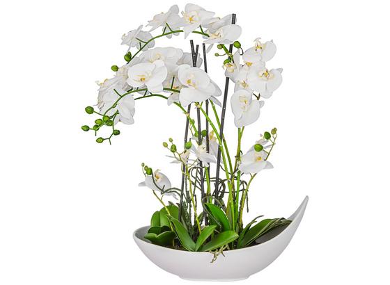 Umelá Rastlina Phalänopsis Ii - biela (68 cm) Umelá Rastlina Phalänopsis Ii - biela (68 cm)