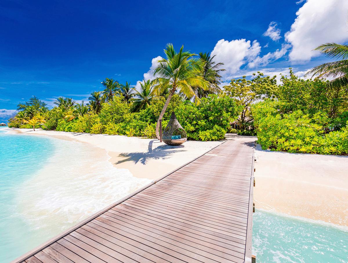 Dekopaneel Linda - Multicolor/Braun, KONVENTIONELL, Holzwerkstoff (60/80cm) - James Wood