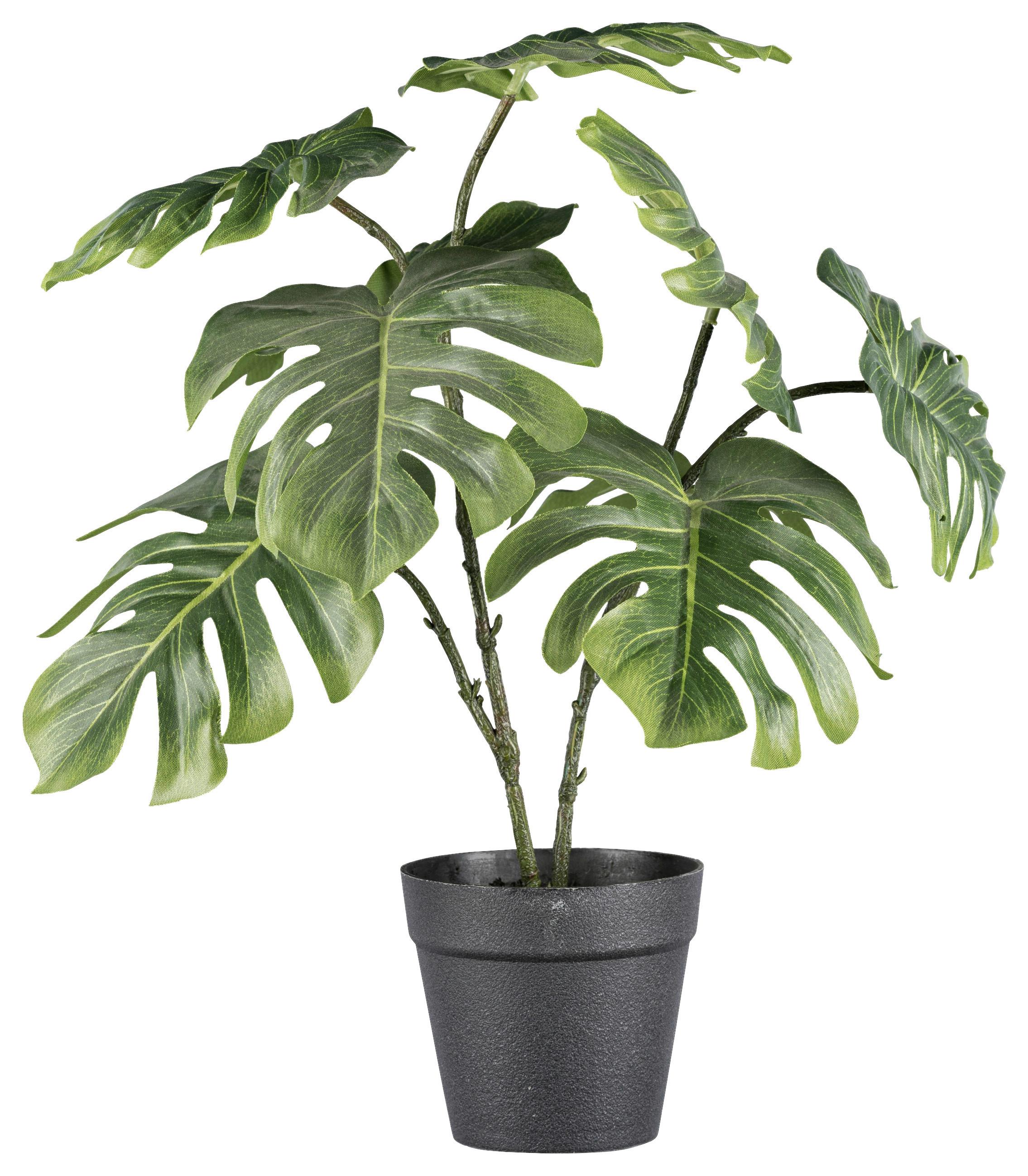 Umelá rastlina Filodendrón, V: 41cm - hnedá/čierna, Basics, plast (41cm)