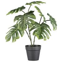 Umělá rostlina Filodendron, V: 41cm - černá/zelená, Basics, plast (41cm)