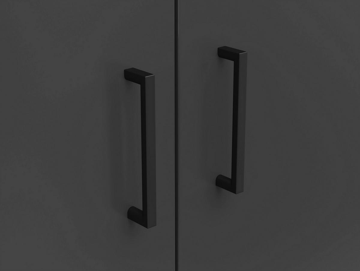 Skriňa MULTISTAURAUM š: 80 cm - čierna/grafitová, Modern, kompozitné drevo/plast (80/195/52cm)