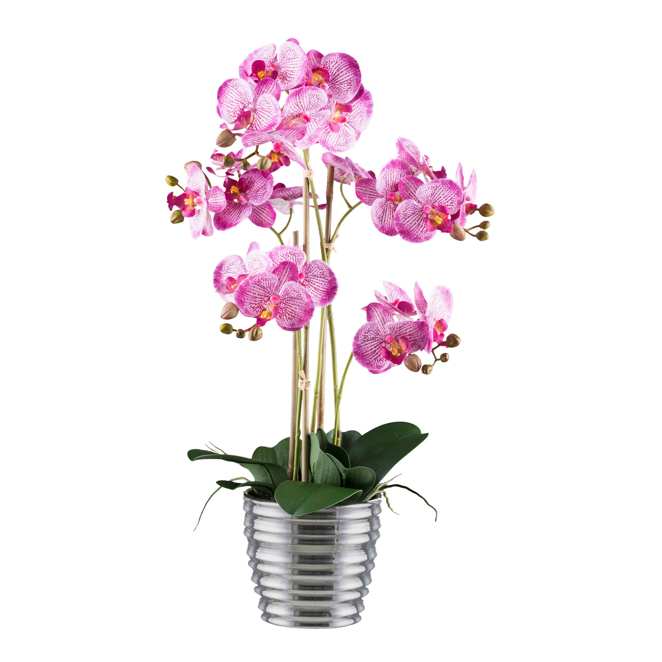 Kunstpflanze Orchideen 62 cm Grün/Silberfarben/Weiß/Pink - Pink/Silberfarben, Design, Keramik/Kunststoff (62cm) - P & B