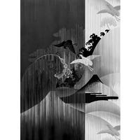 Fototapete Inx4-018 Ying Yang - Schwarz/Weiß, Trend, Papier (200/280cm) - Komar
