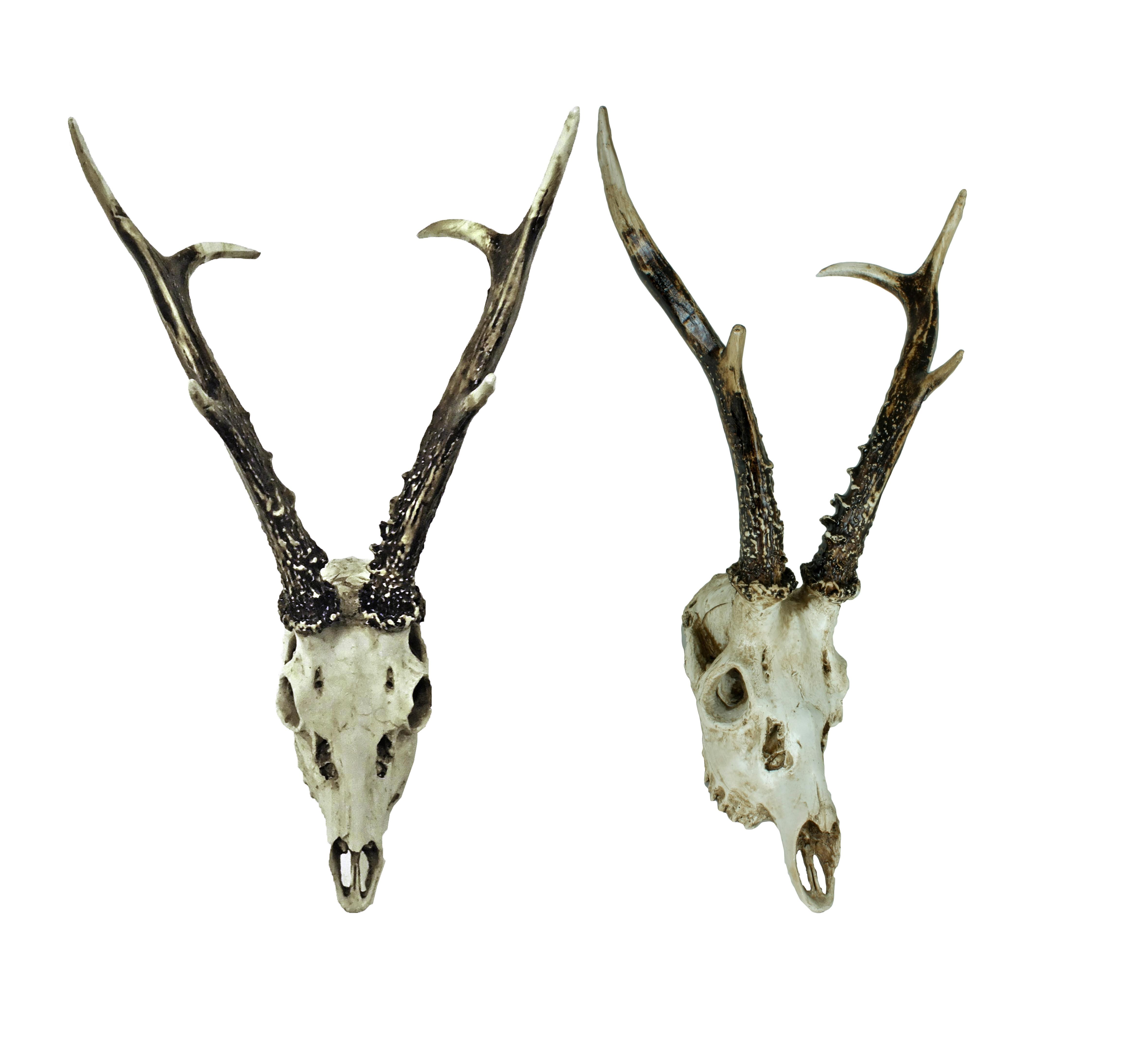 Geweih Naturfarben B: 23,5 Cm - Naturfarben, Basics, Kunststoff (23,5/39/24cm)