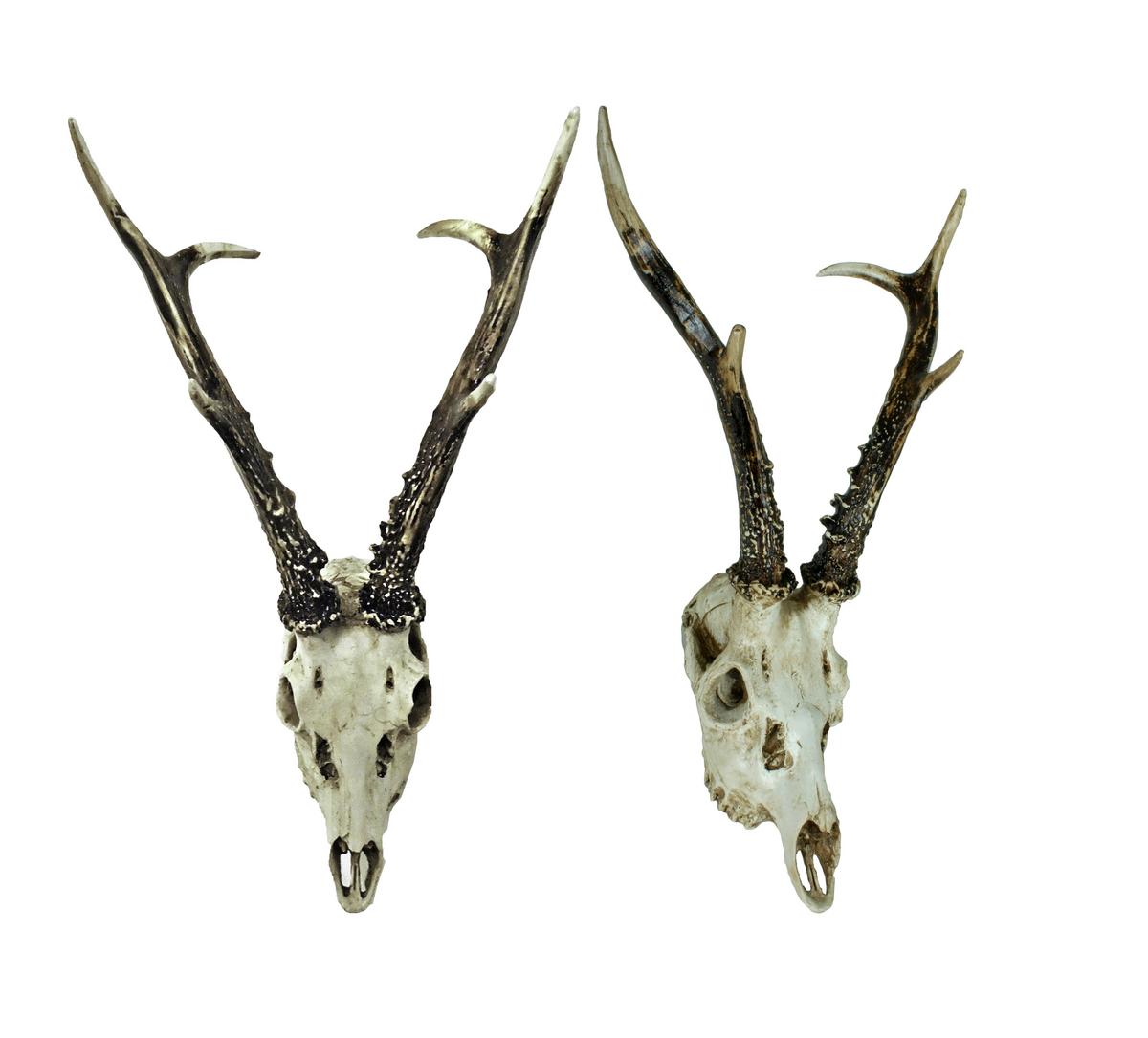 Geweih Naturfarben B: 23,5 Cm - Naturfarben, Basics, Kunststoff (23,5/39/24cm)