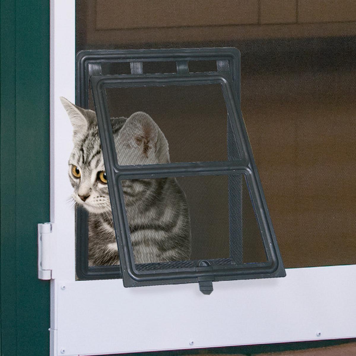 Katzenklappe Schwarz - Schwarz, Basics, Kunststoff (20/25cm)