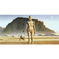 Fototapete Star Wars Droids - Gelb/Braun, Trend, Textil (500/250cm)