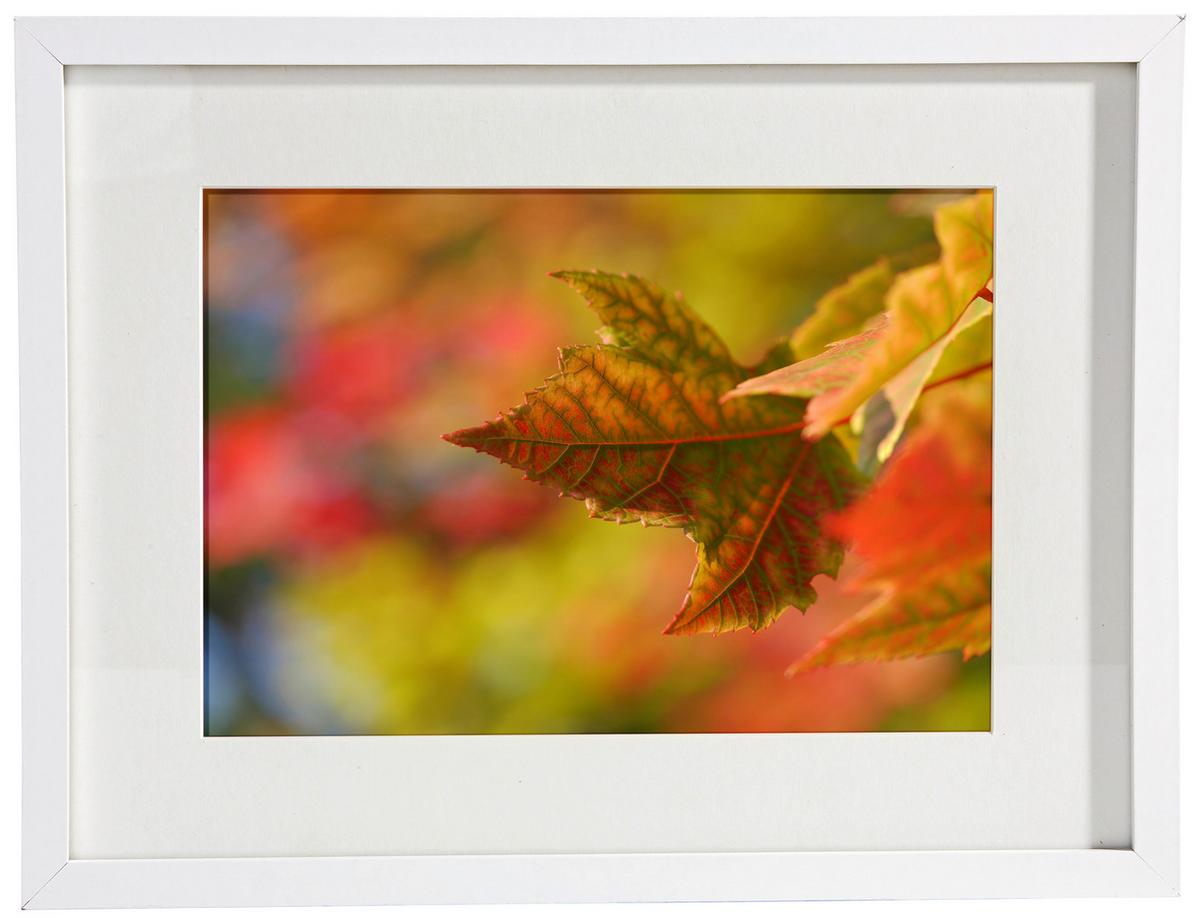 RÁM NA OBRAZY GITTA 30x40 cm - biela, Modern, kompozitné drevo/sklo (30/40cm) - Modern Living
