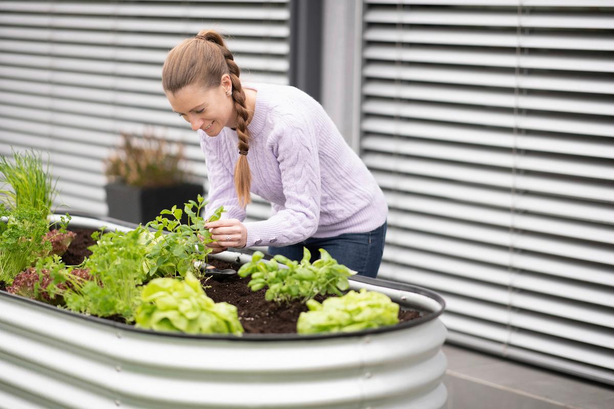 Hochbeet Metall Hochbeet Oval 160 Cm - Silberfarben, Basics, Metall (160/82/80cm)