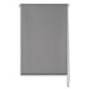 Verdunkelungsrollo Sarah Halbtransparent 60x150 cm - Grau, MODERN, Kunststoff (60/150cm) - Luca Bessoni
