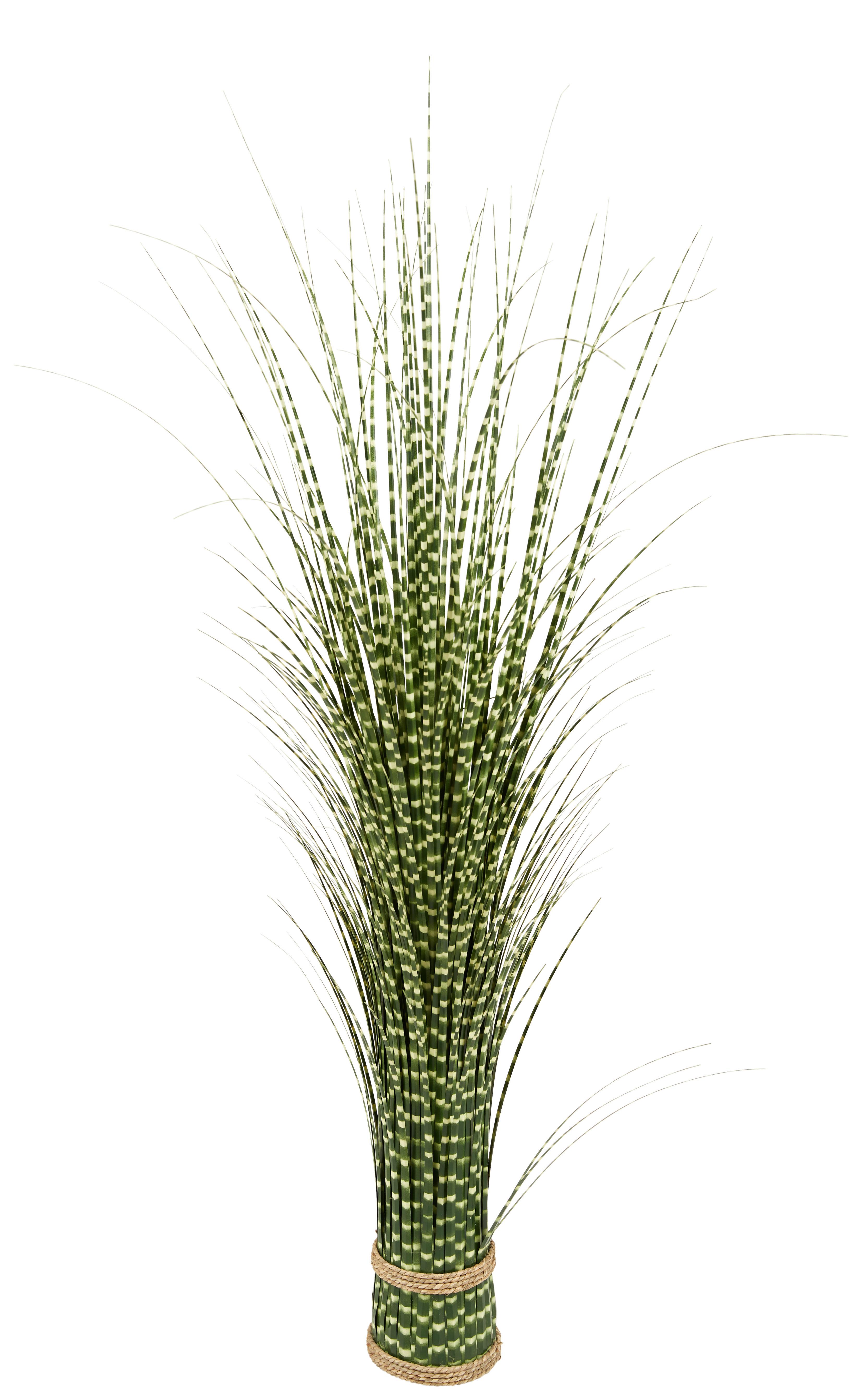 Kunstpflanze Zebragras Creme L: 100 cm - Creme/Grün, Basics, Naturmaterialien/Papier (25/100cm) - Ondega