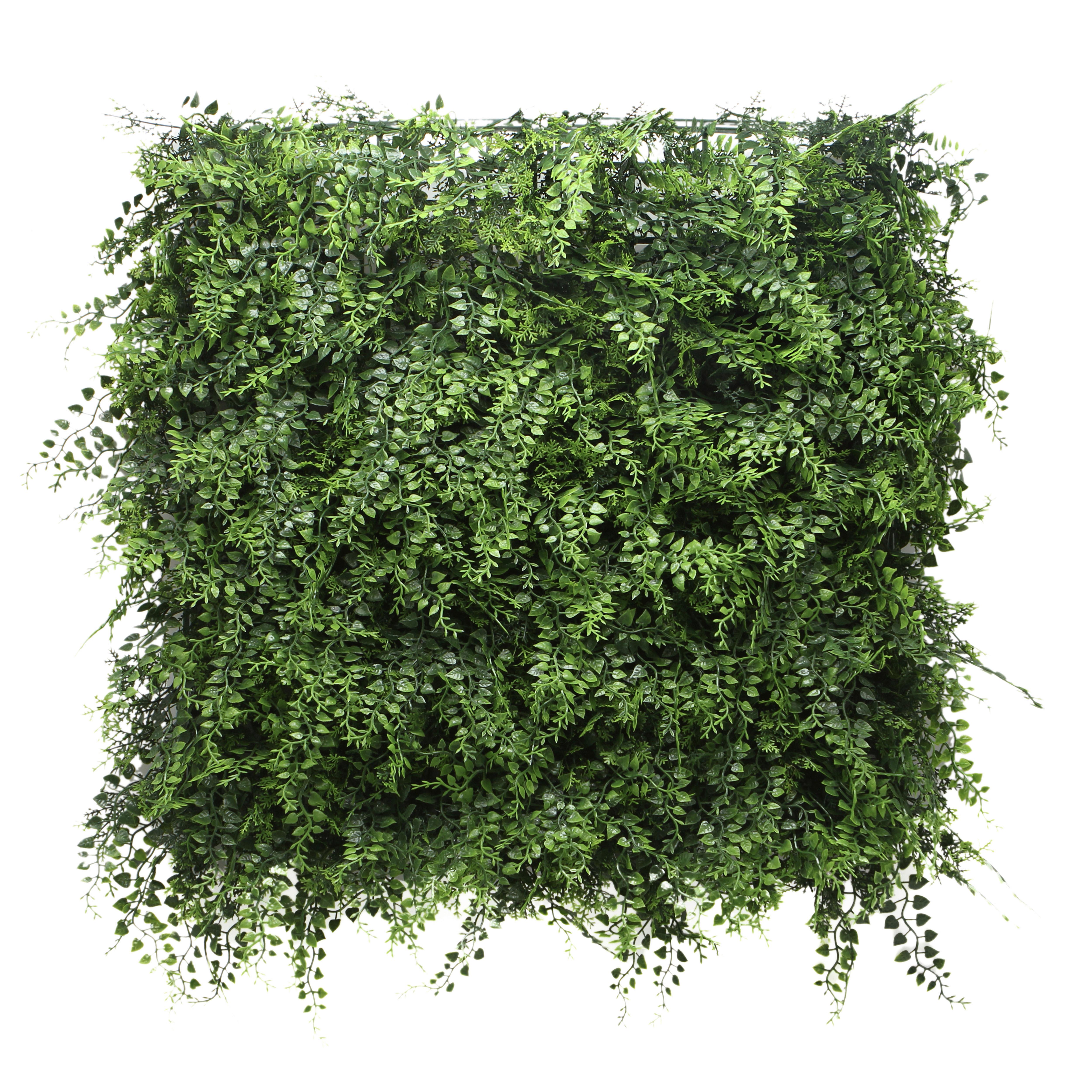 KUNSTPFLANZE Leafluxe Grün B: 55cm - Grün, MODERN, Kunststoff (55/55/6cm) - MID.YOU