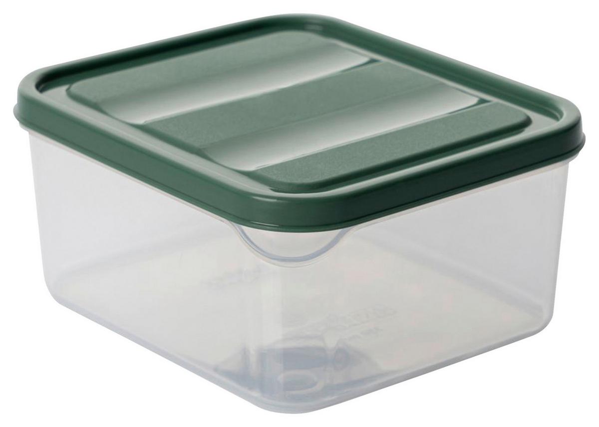 Vorratsdosenset Grün 20-teilig - Dunkelgrün/Transparent, Kunststoff