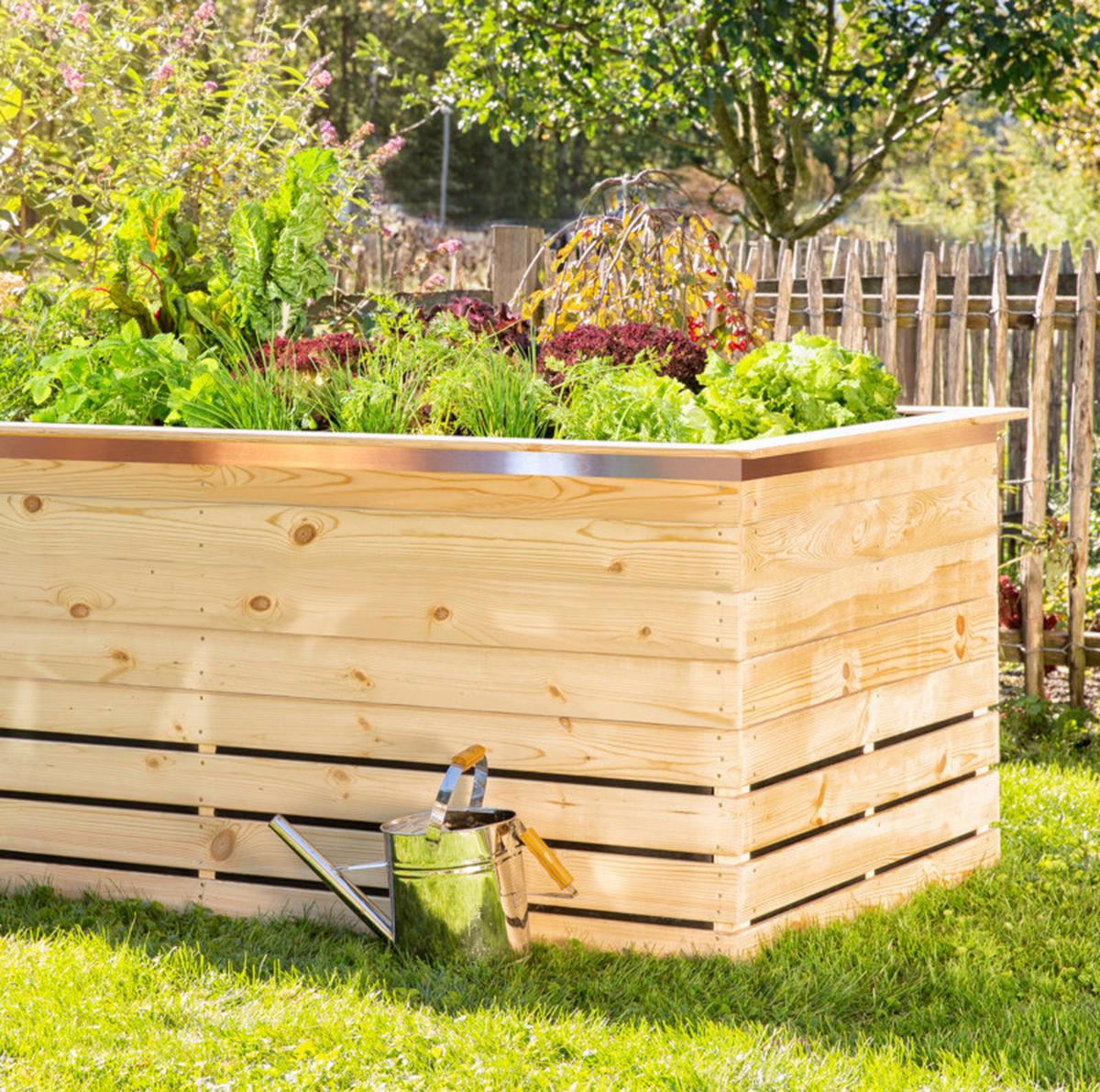 Schnecken-abwehrband Kupferfarben - Kupferfarben, Basics, Kunststoff/Metall (5/600cm)