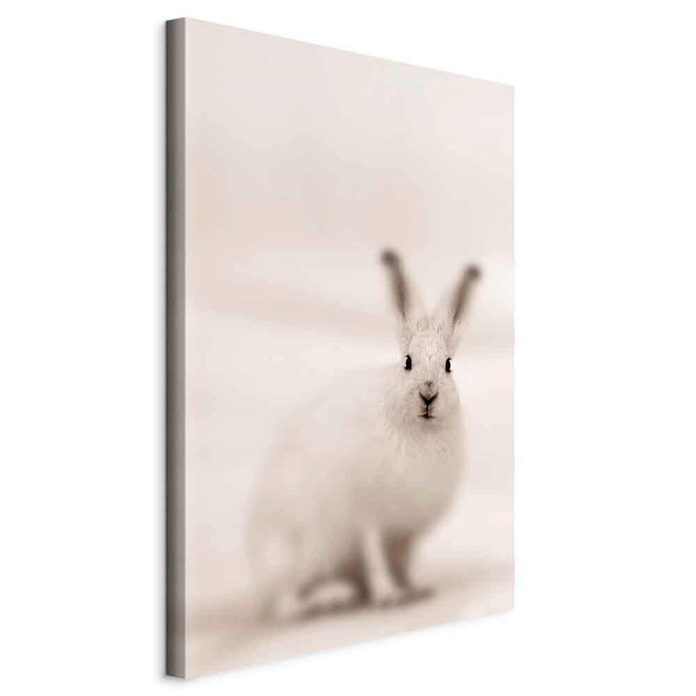 Leinwandbild Weiß Beige B: 40 Cm