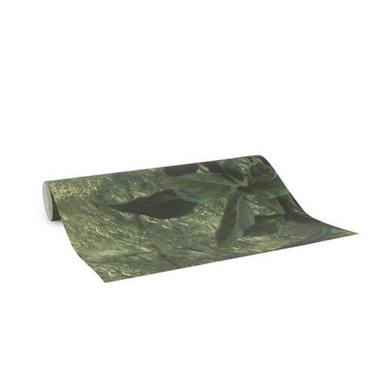 Fototapete Jungle - Multicolor, Basics, Papier/Kunststoff (300/280/8cm)