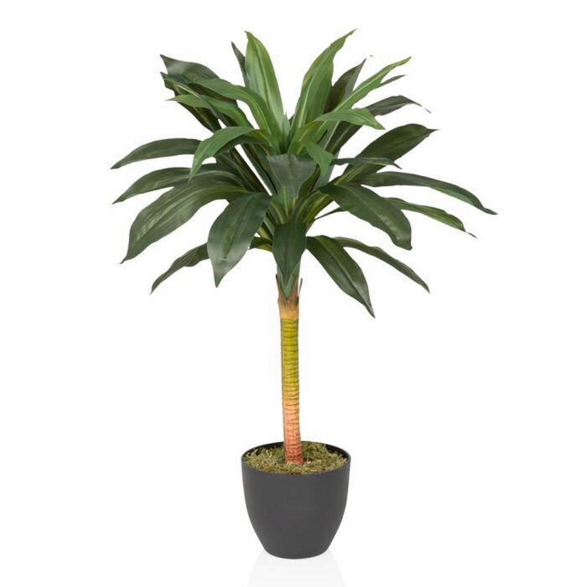 Kunstpflanze Grün/hellgrün/schawrz B: 33 Cm - Schwarz/Hellgrün, MODERN, Kunststoff (33/85/33cm) - MID.YOU