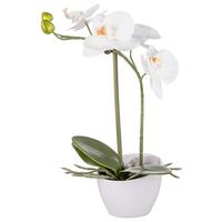 UMĚLÁ ROSTLINA ORCHIDEE II -BASED- - bílá/zelená, Konvenční, plast/keramika (33cm) - Based