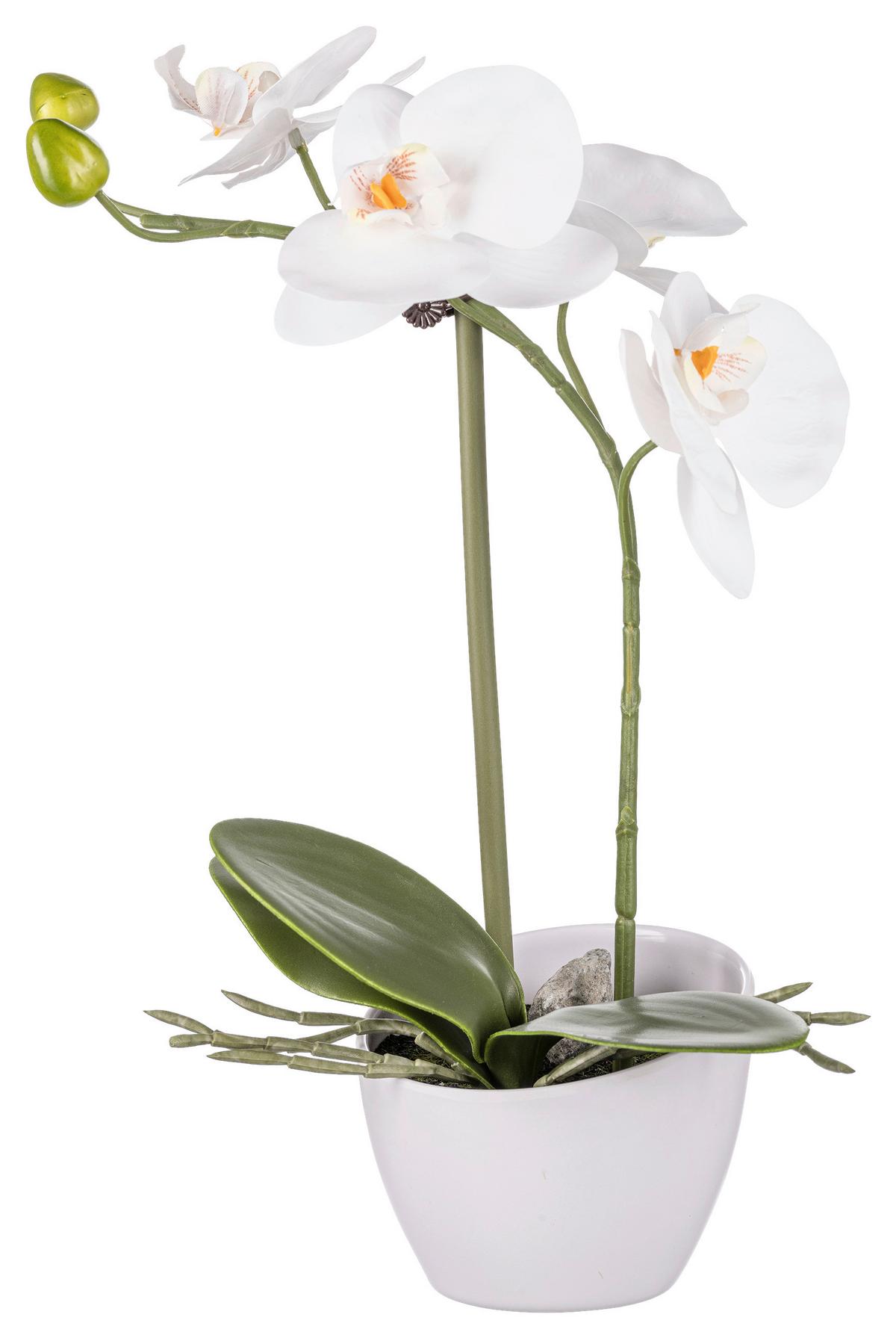 UMĚLÁ ROSTLINA ORCHIDEE II -BASED- - bílá/zelená, Konvenční, plast/keramika (33cm) - Based