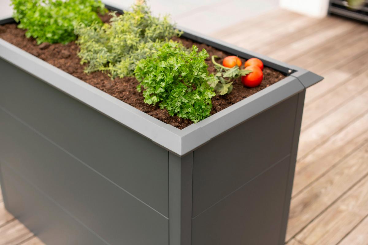 Hochbeet Primus M - Anthrazit, KONVENTIONELL, Metall (50/100/77cm)