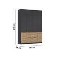 Aufsatzschrank Max-Extra - Grau, KONVENTIONELL, Holzwerkstoff (181/39/54cm) - James Wood