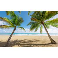 Fototapete Caribbean Days Ii - Multicolor, Trend, Textil (450/280cm)
