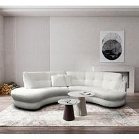 Ecksofa Bretania Hellgrau, S: 113x300 cm - Hellgrau/Schwarz, Design, Textil (113/300cm) - Livetastic