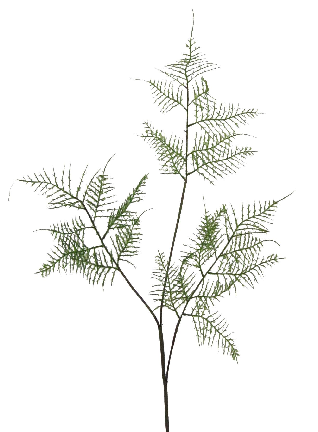 Kunstpflanze Farn Grün L: 84 Cm, Rene - Grün, Natur, Kunststoff (84cm)