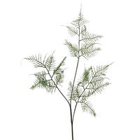 Kunstpflanze Farn Grün L: 84 cm, Rene - Grün, Natur, Kunststoff (84cm)