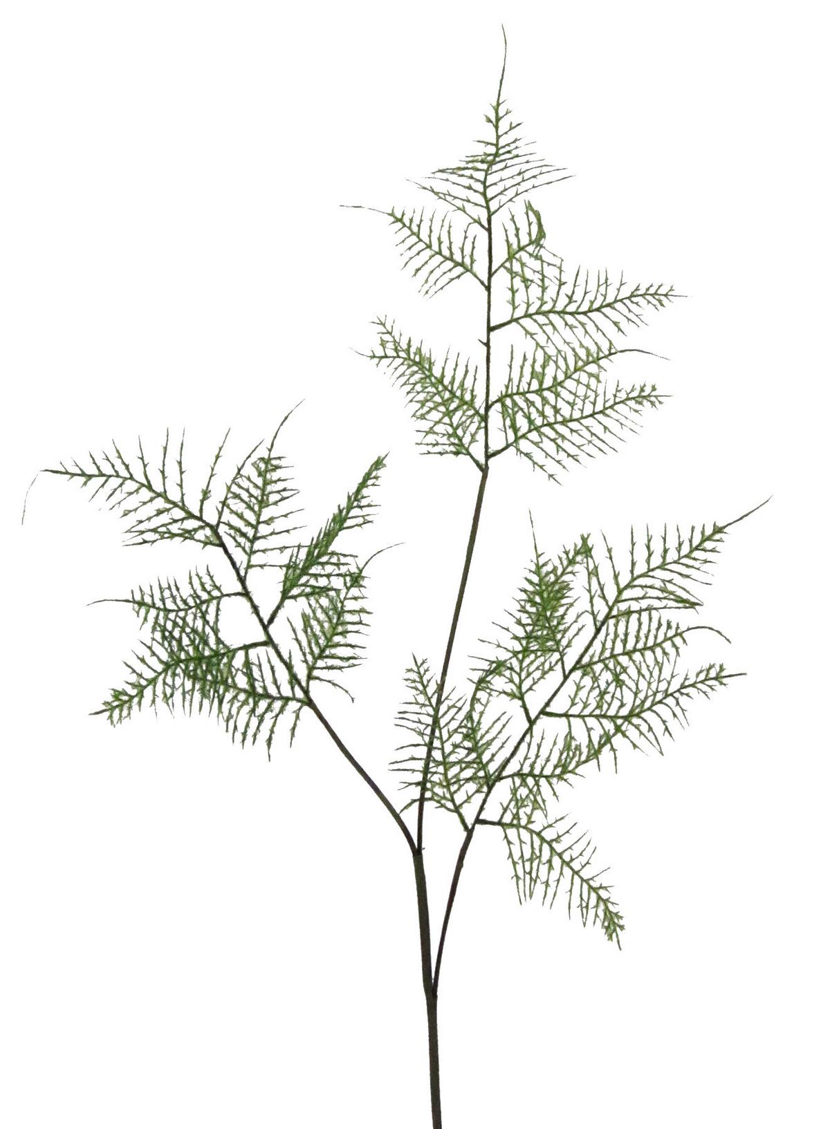 Kunstpflanze Farn Grün L: 84 cm, Rene - Grün, Natur, Kunststoff (84cm)