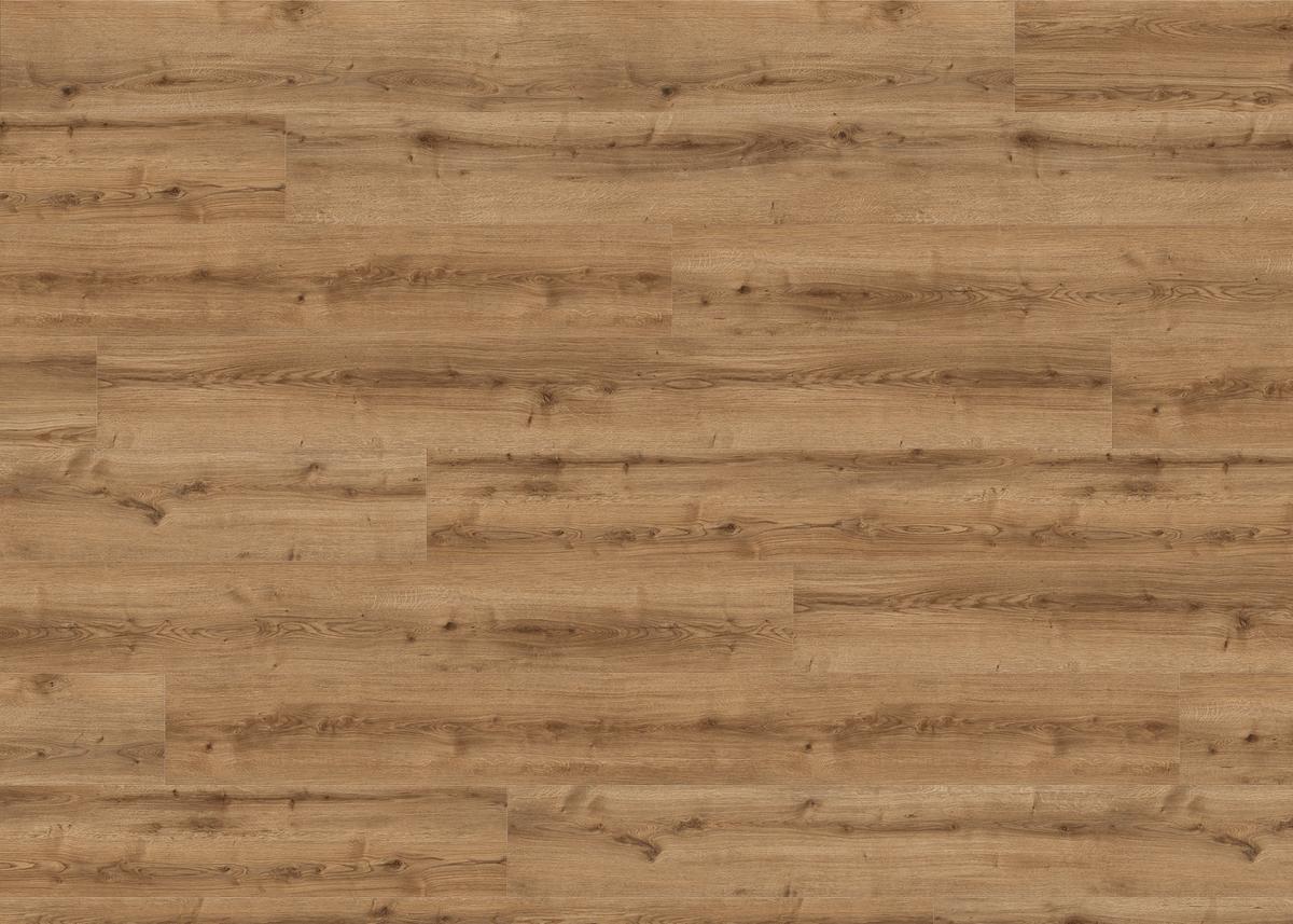 Designboden Eichefarben Landhausdiele Stärke 8mm - Eichefarben, Basics, Holzwerkstoff (24.3/220cm) - Living by HARO