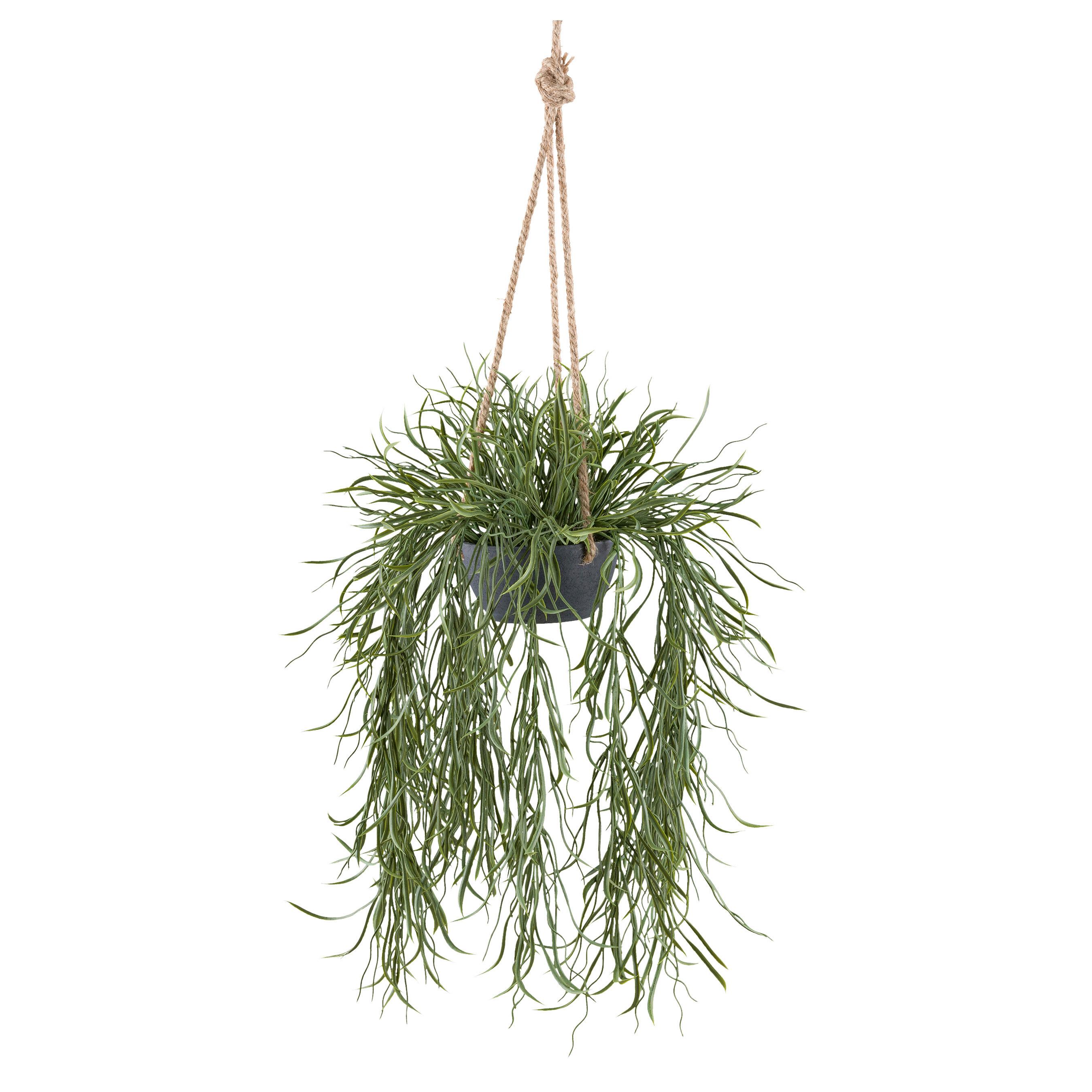 Kunstpflanze Sukkulenten Grün/Grau, 60 cm - Grau/Grün, Design, Kunststoff (60cm) - P & B
